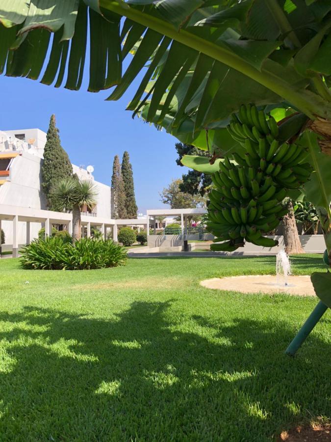 Good Vibes Apartment Costa Del Silencio Exterior foto