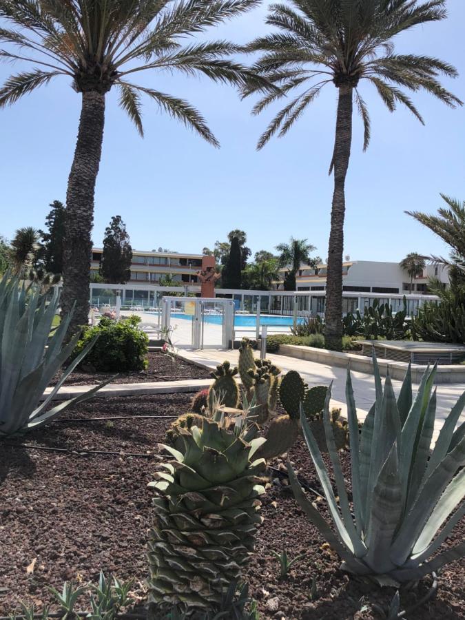 Good Vibes Apartment Costa Del Silencio Exterior foto